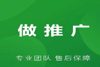 某知名企业SEM营销全案解析